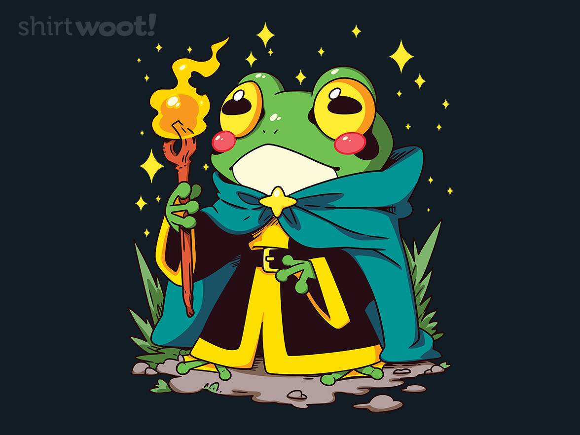 Almighty Frog Wizard - Gallery 4
