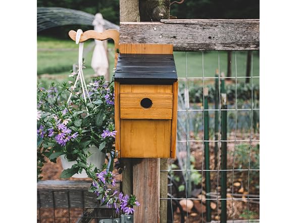 Backyard Expressions Brazilian Pine Birdhouse