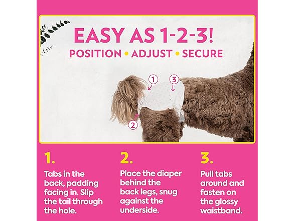 OUT! PetCare Disposable Female Dog Diapers