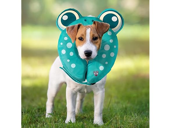 Frog Inflatable Recovery Collar, Comfortable Cone
