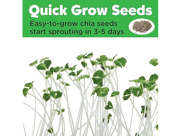 Creativity for Kids Mini Garden Princess