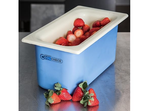 Carlisle CoolCheck Food Pan, 4 Quart