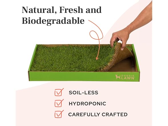 DoggieLawn Real Grass Puppy Pee Pads- 24 x 16