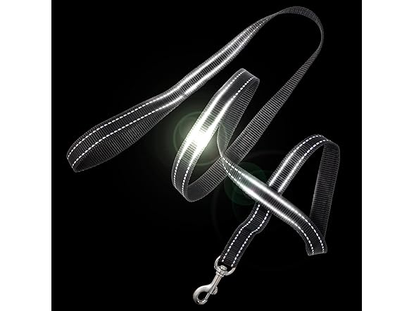 Pet Passion Reflective Durable Dog Leash