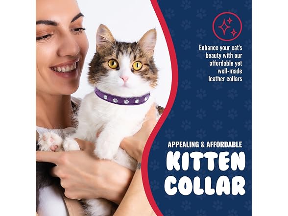 Athens Cat Collar, Leather Kitten Collar w/Rhinestones