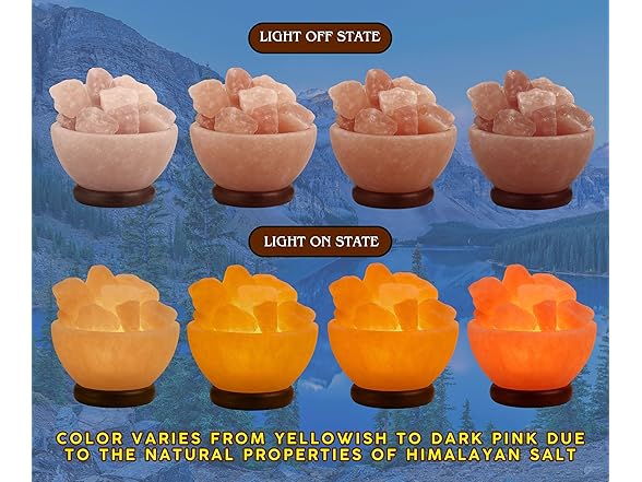 Spantik Himalayan Salt Lamp Bowl