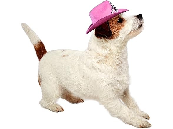 Rubies Rubie's Pink Cowgirl Dog Hat with Tiara, S/M