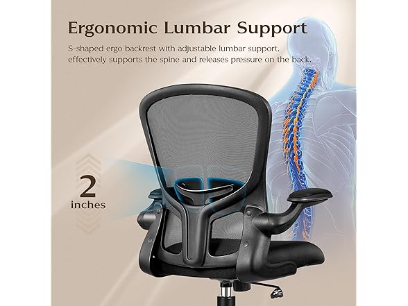 FelixKing W0893 office chair 1 (Open Box)