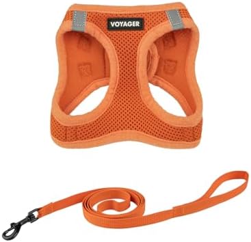 Voyager Step-in Air Cat Leash Harness Set - All Weather Mesh, Step in Vest Harness for Small and Large Cats by Best Pet Supplies - Orange, XS (Chest 13.5-15")