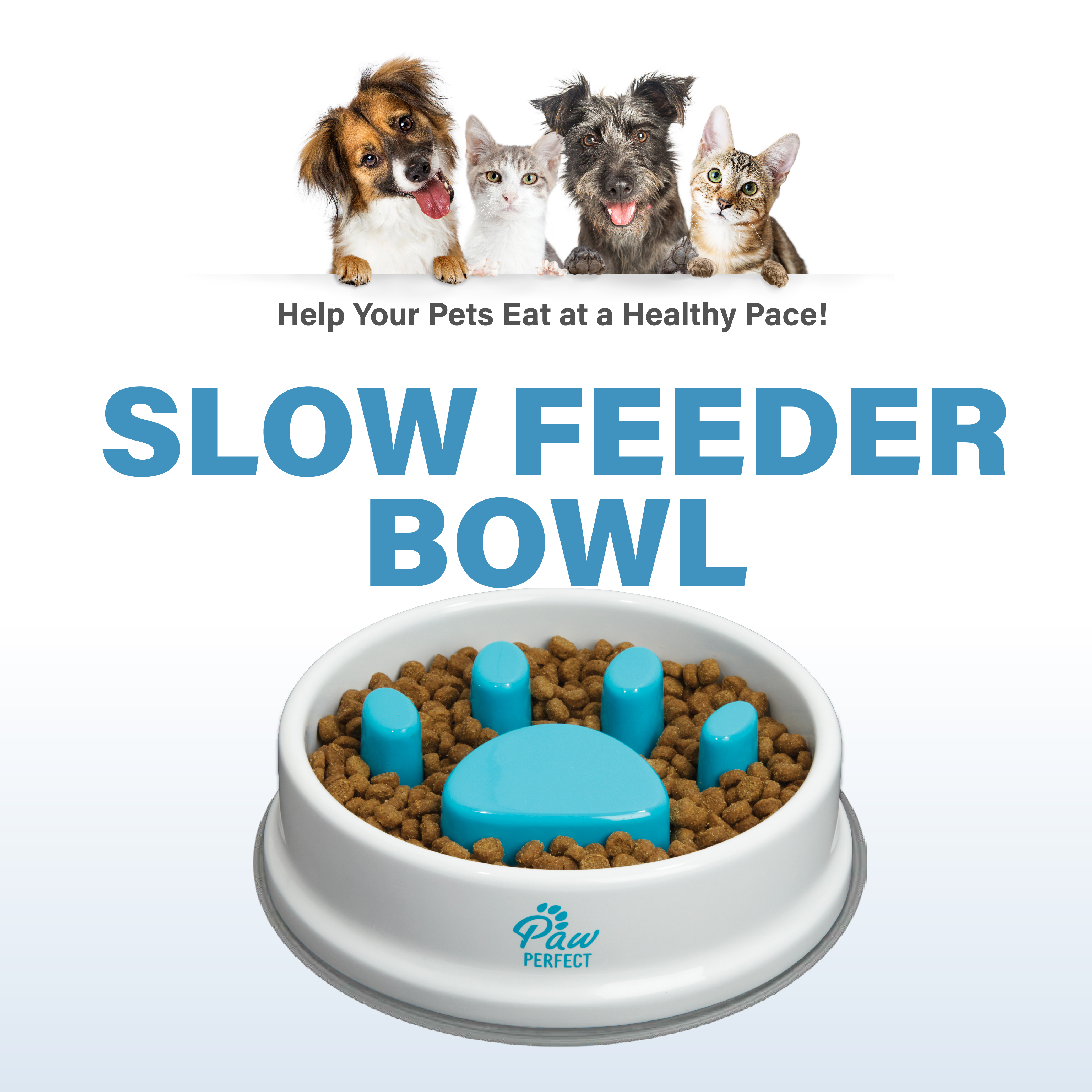 1, 2 or 3-Pk Slow Feeder 32 oz Pet Bowl - Gallery 13