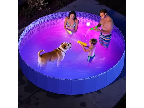 Pawtners Foldable Kiddie Pool with Light