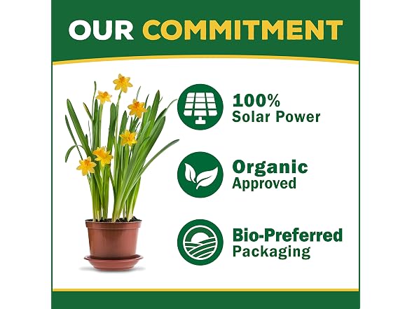 Espoma Citrus-Tone 5-2-6 Organic Fertilizer