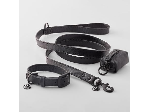 Rein - The Recycled Vegan Leather Pouch w Bags