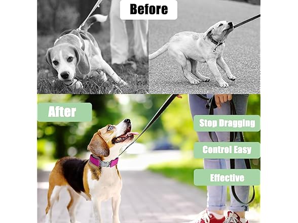 HAESINPA Prong Training Collar for Dogs