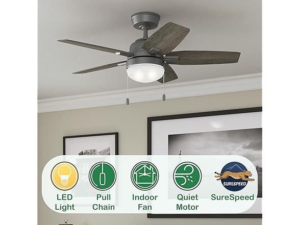 Hunter Fan 44" w/ Light and Pull Chain