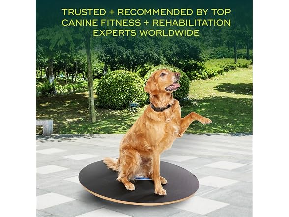 FitPAWS Wobble Board - Dog Balance Training E