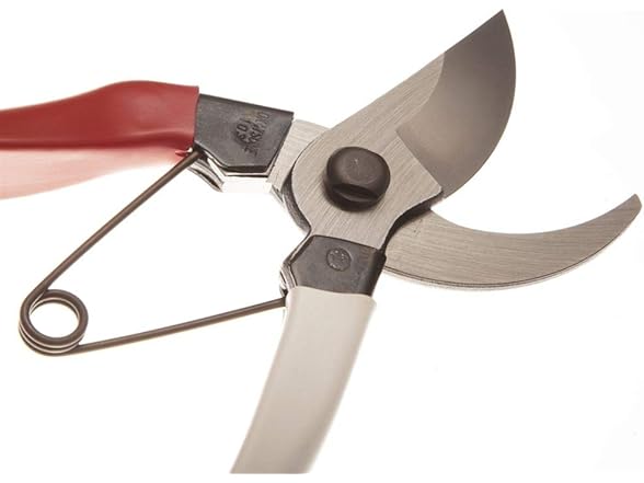 Niwaki Secateurs