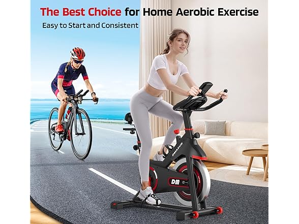 DMASUN Exercise Bike