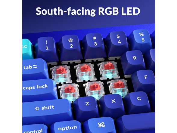Keychron Q4 Wired Custom Mechanical Keyboard