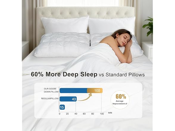 WQSPRING Cloud Color 2 Pack Suport Pillows Queen Size
