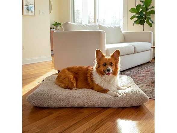 Best Friends by Sheri Comfy Crate Dog Bed Washable, Oyster