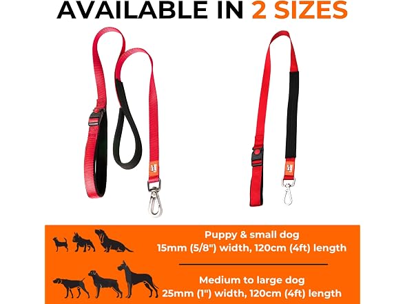 Canny Connect Leash - Anti Pull, Black