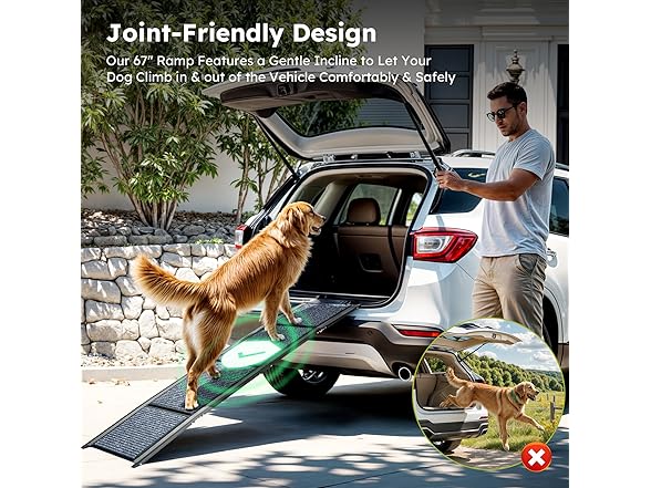Dog Ramp for Car
