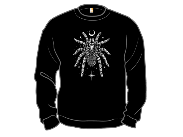Nocturnal Tarantula