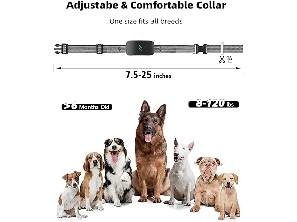 RUNLANE Dog Training Collar with Remote