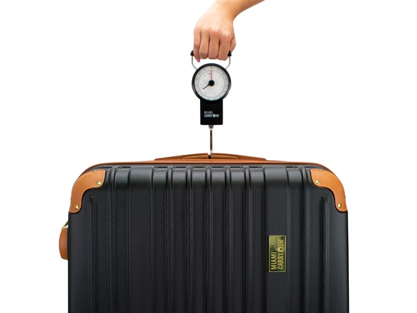 Essential Travel Kit Combo