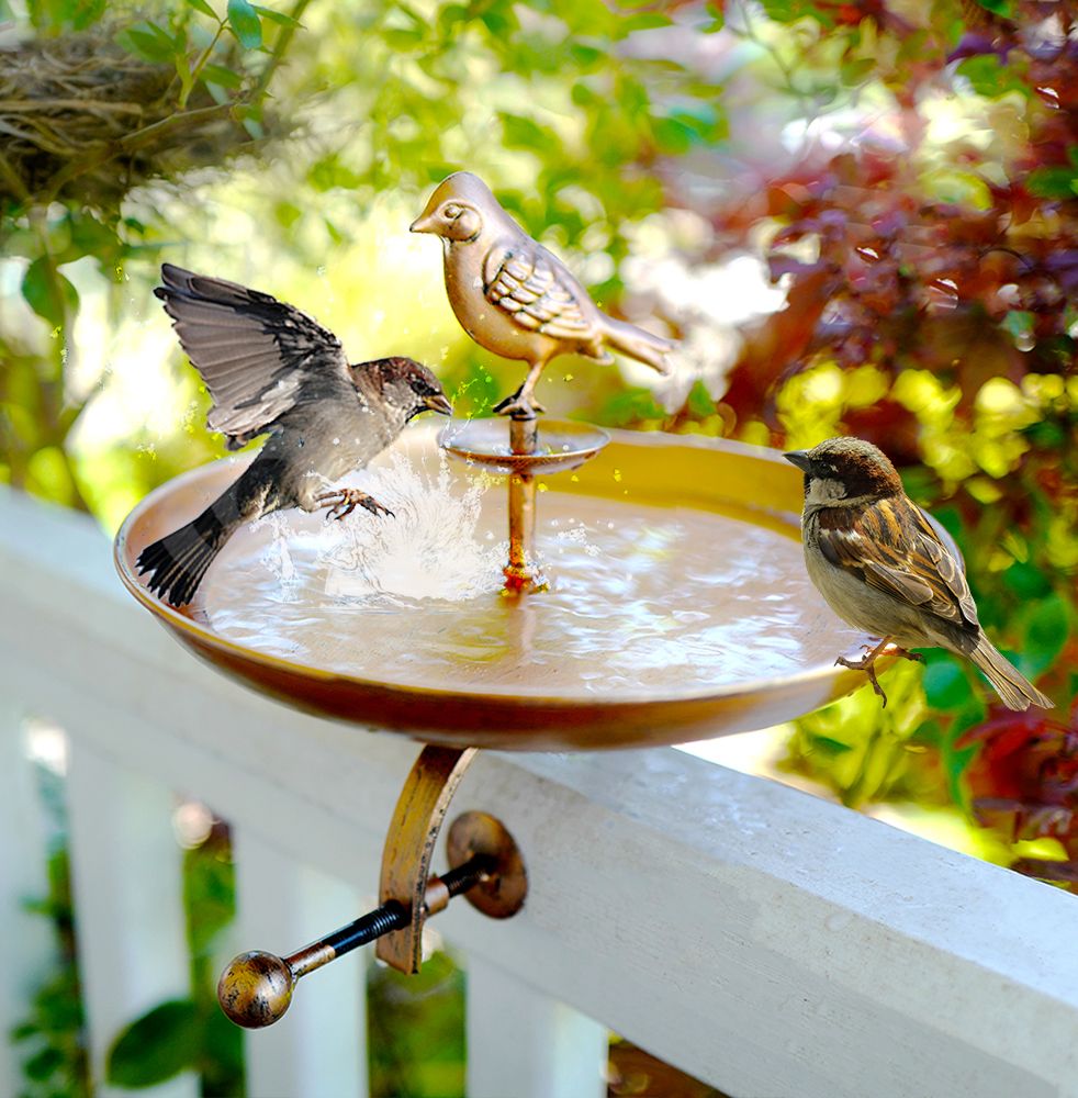 Bird Bath & Birdhouse - Combo Pack - Gallery 12