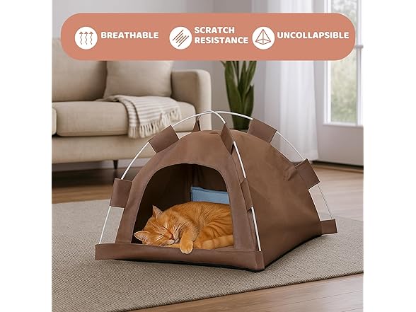 Cat Tent House