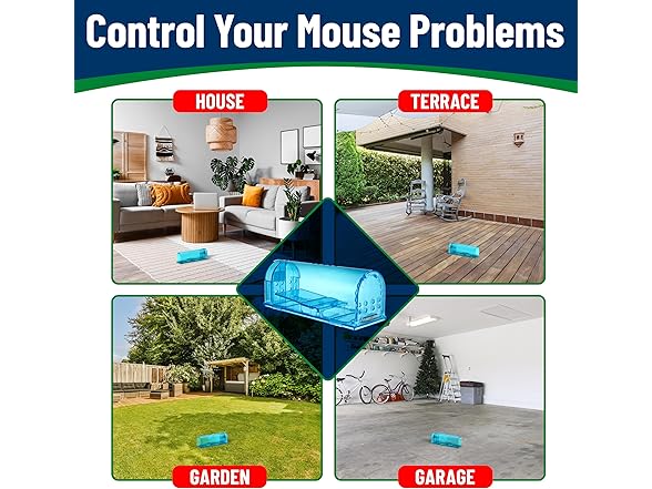 Humane Mouse Trap Blue