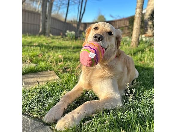 Midlee Easter Egg Plush Dog Toy