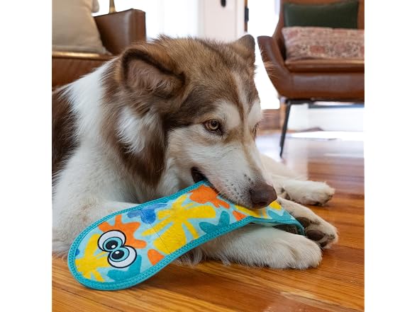 Outward Hound Tough Skinz Snake Squeaky Dog Toy, M