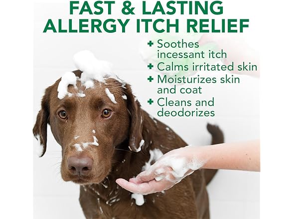 Vet's Best Allergy Itch Relief Dog Shampoo w
