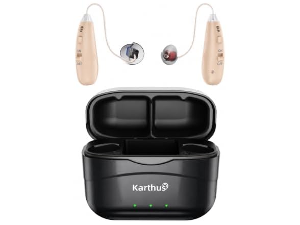 Bte Hearing Aid