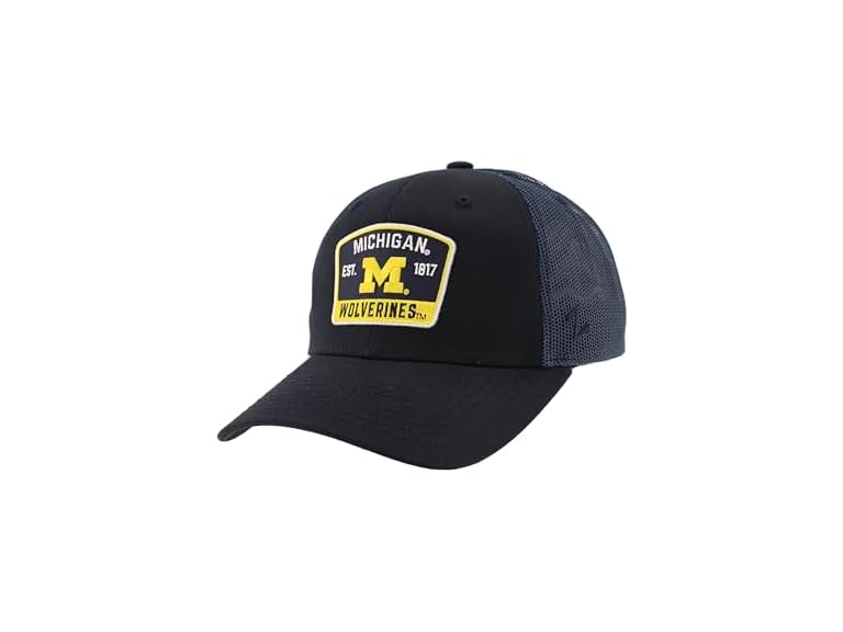 Michigan Big Rig Hat Team Color