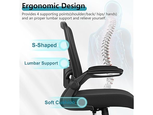 FelixKing W0893 Office Chair with Lumbar Support Black