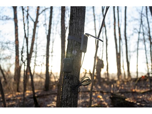 Stealth Cam Fusion Max 2.0 Cellular Trail Solpak