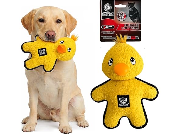 American Kennel Club Plush Dog Toy with Squeaker- Duck
