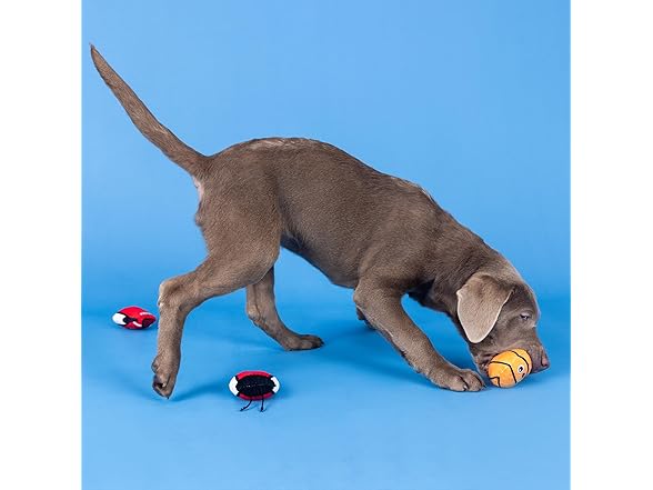 Fringe Studio Plush Dog Toy, 3 Pieces Set, Basket