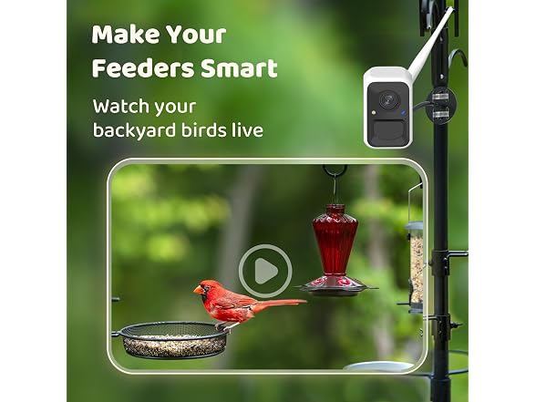 NETVUE Birdfy Bird Camera for Feeder