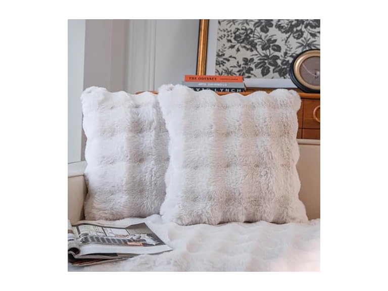 Cozy Faux Fur Throw Pillow Covers 2 Pack