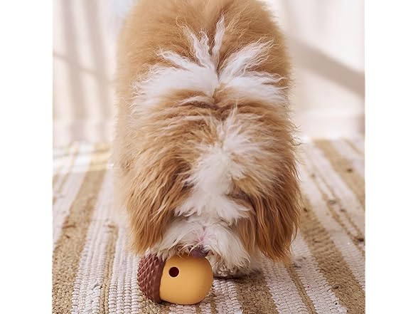 SPOT Treat Tumbler Acorn – Freezable & F