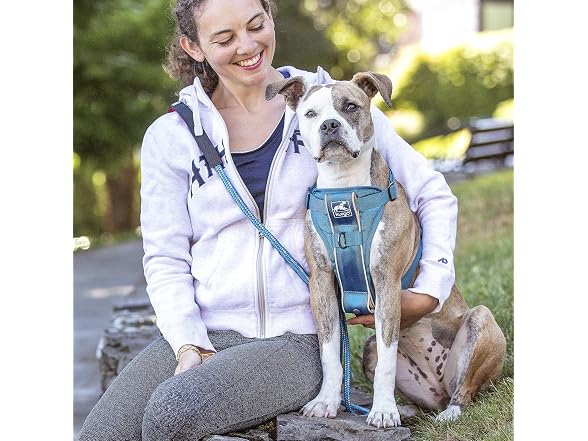 Kurgo Tru-Fit Smart Dog Walking Harness