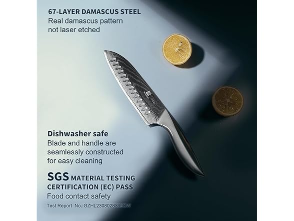 zongchuan 9C Damascus Steel chef knife