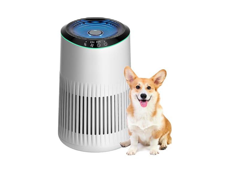 Small Air Purifier for Bedroom White