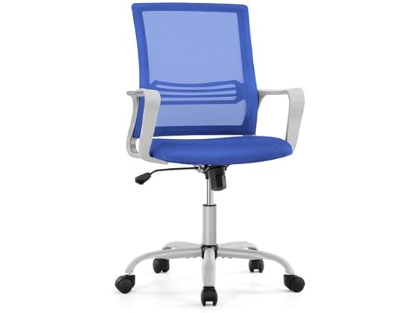 OLIXIS Ergonomic Home Office Chair - Rol