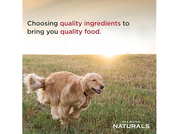 Diamond Naturals Large Breed Puppy 40 lb